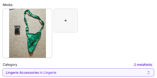 Shopify Thinks My Product is Lingerie